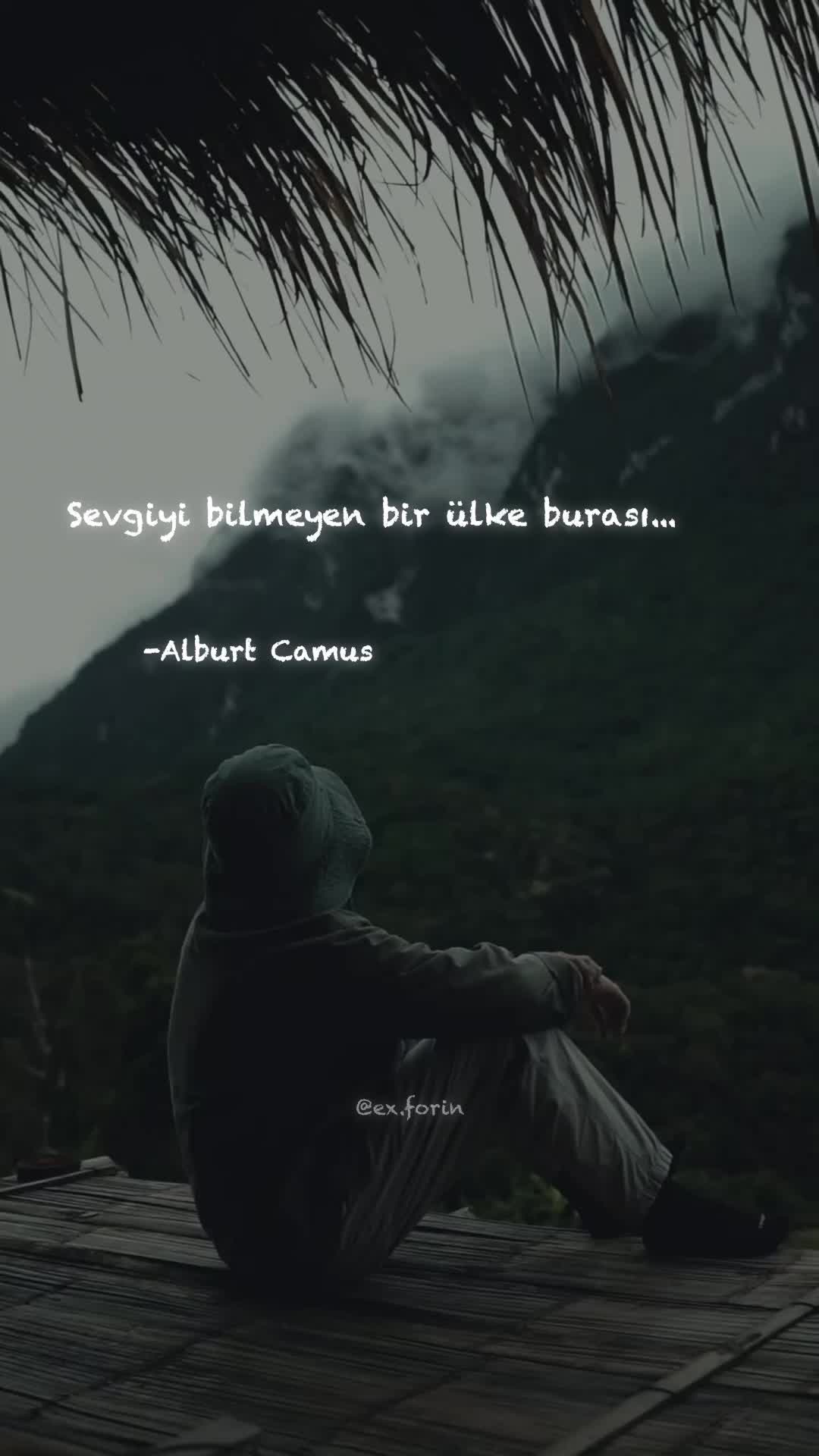@exforin
