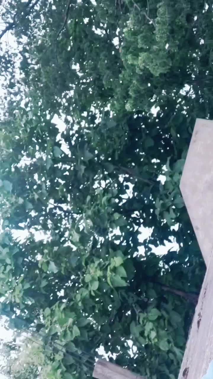@j.p.mane143