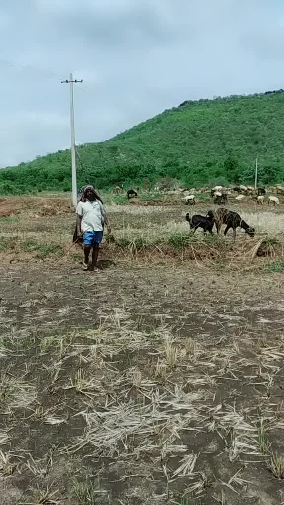 @varaprasad varma