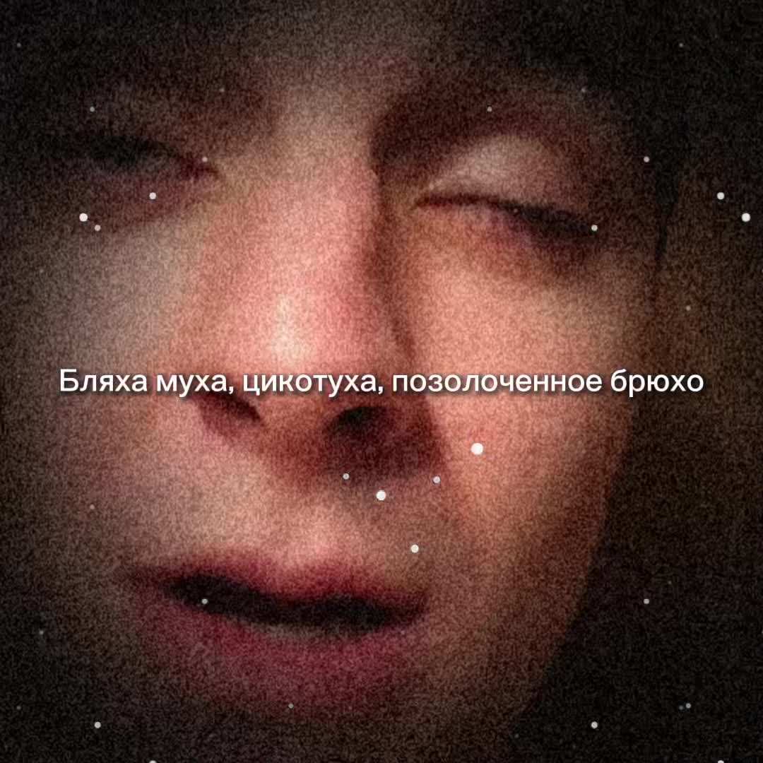 @Shevchisha