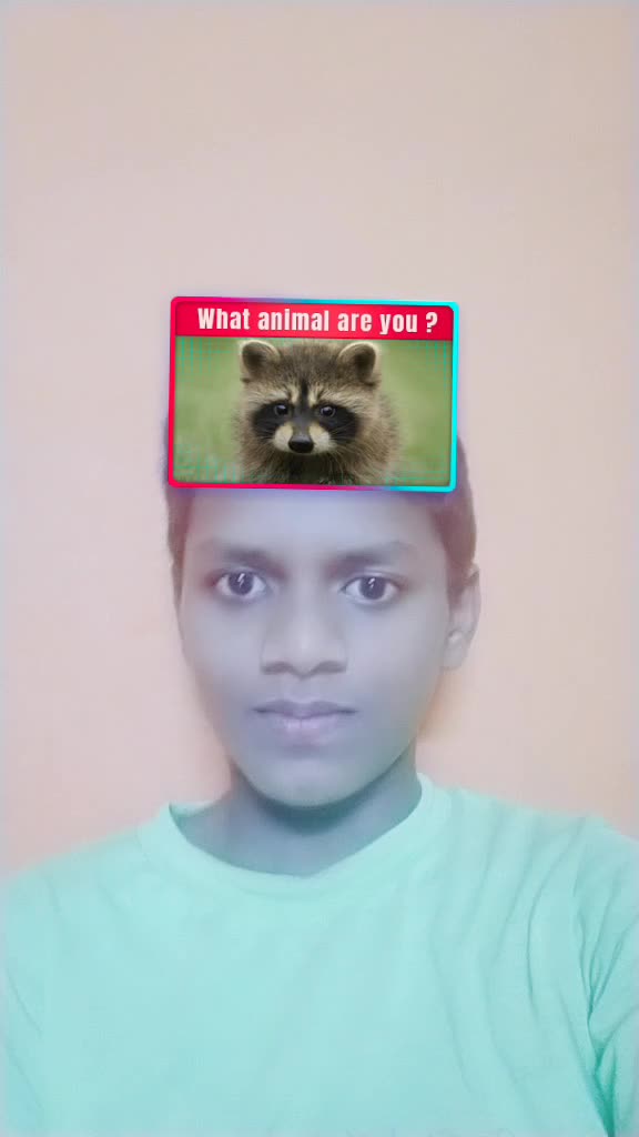 @Nagilla Sreeramulu