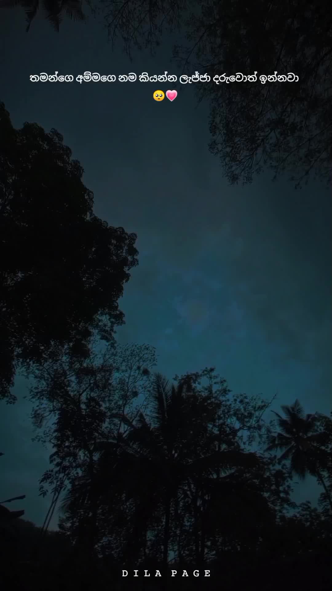 @𝐃𝐈𝐋𝐀 🇦🇪🇱🇰