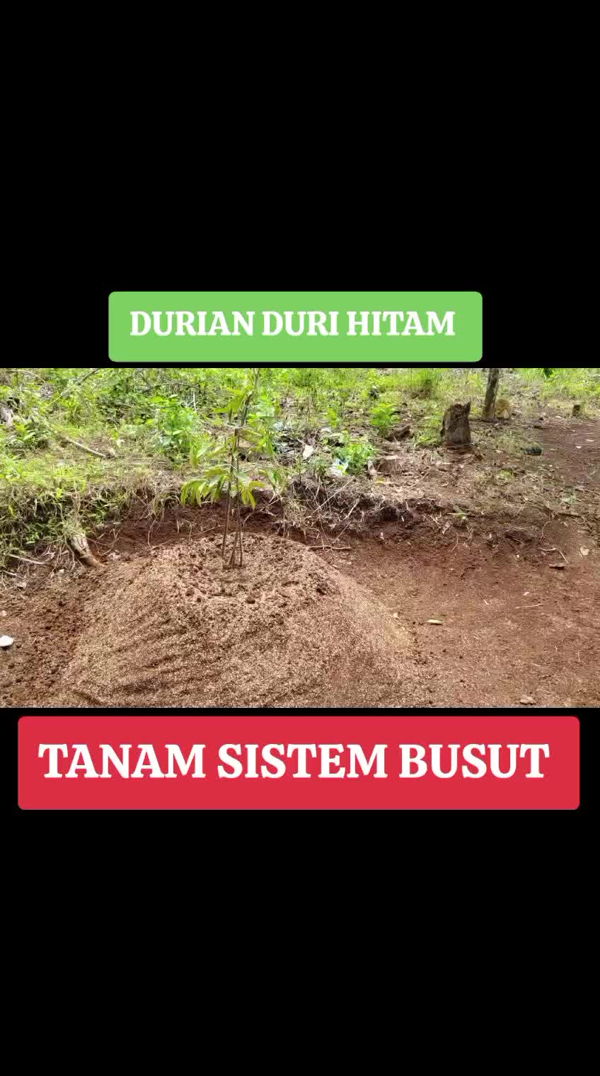 @PEJUANG keluarga ❤️
