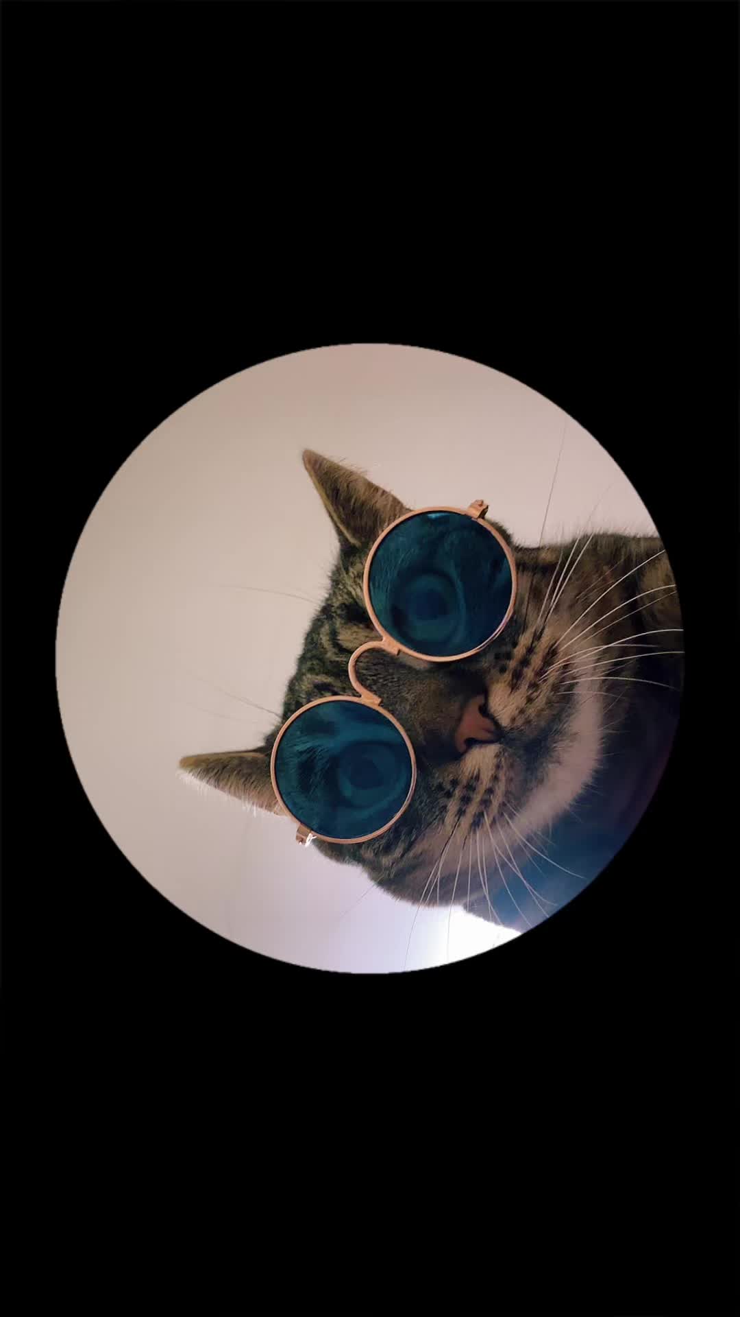 @CaTtoK