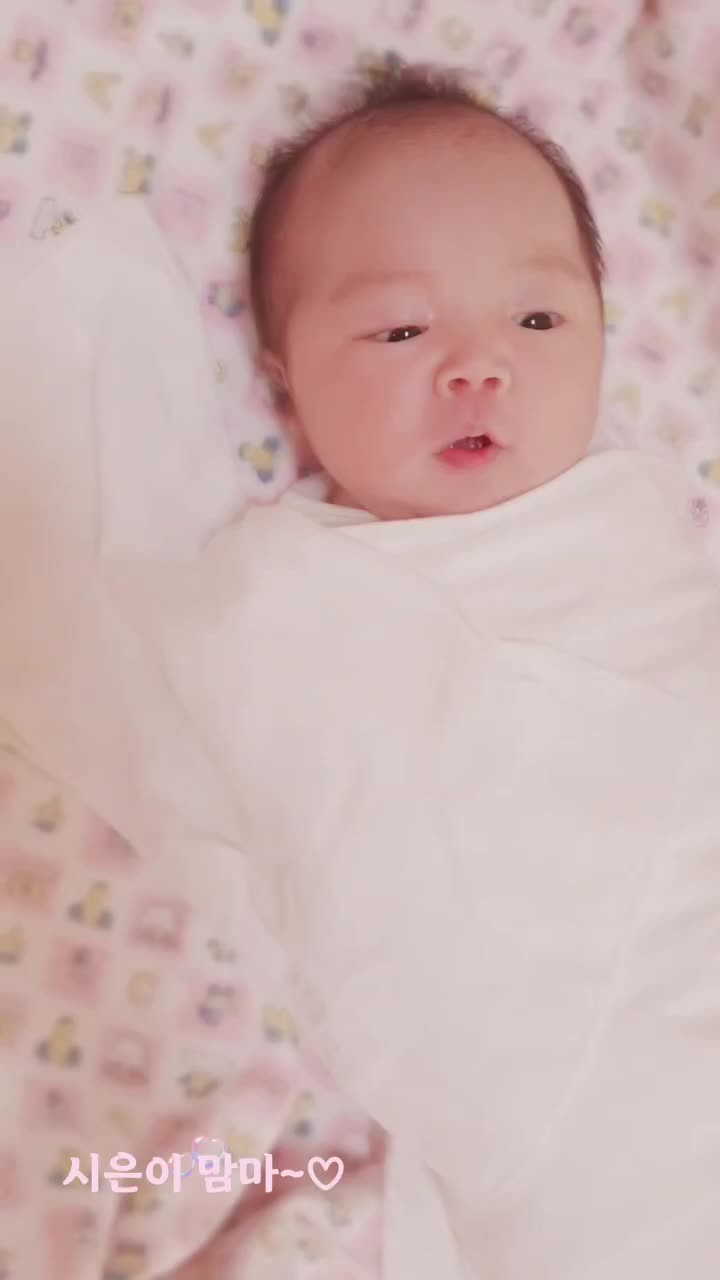 @☆돌도리☆