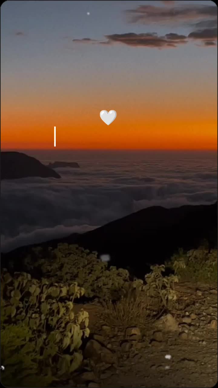 @🦋