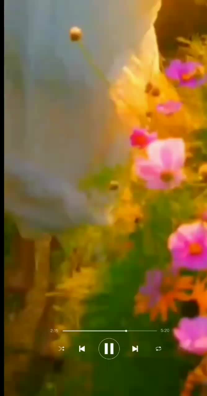 @s_________h(lyrics)