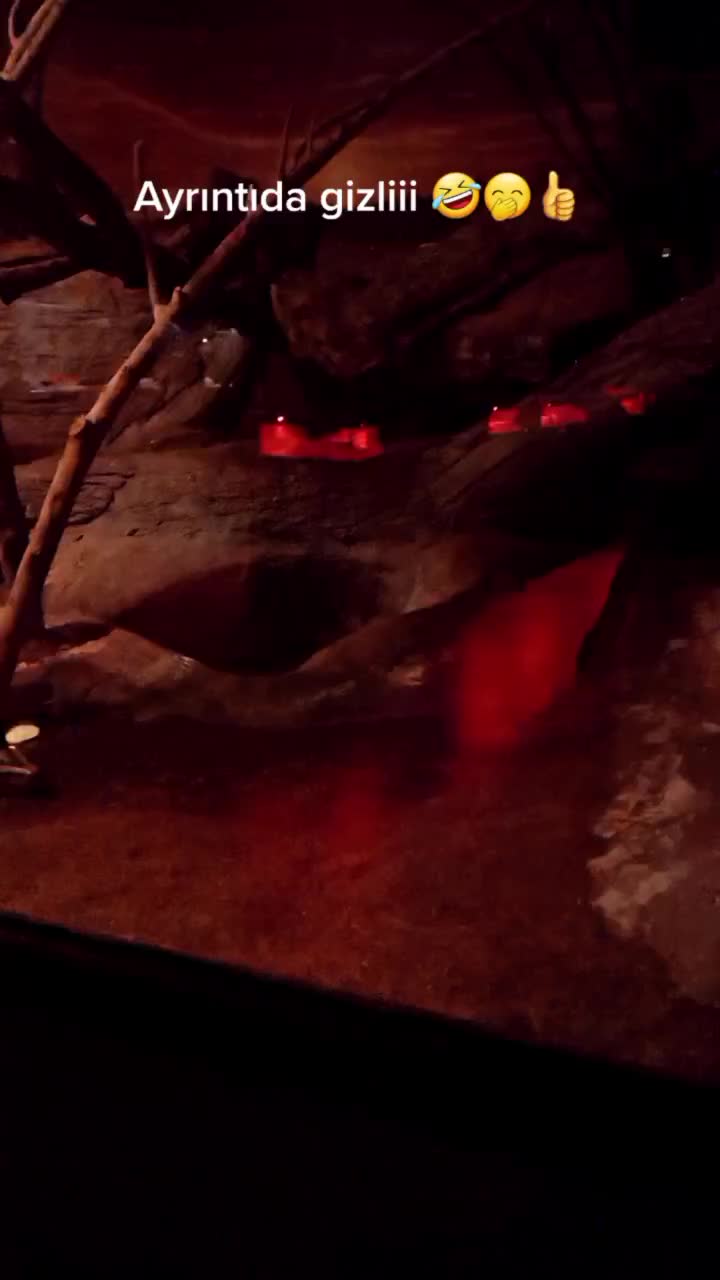 @aslıhnarass
