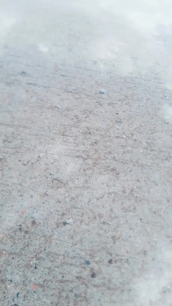 @harsh.006