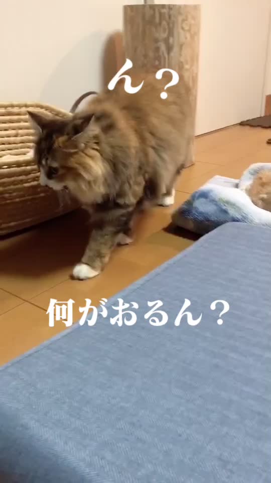 @れい