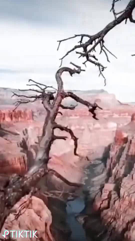 @PremParmar367