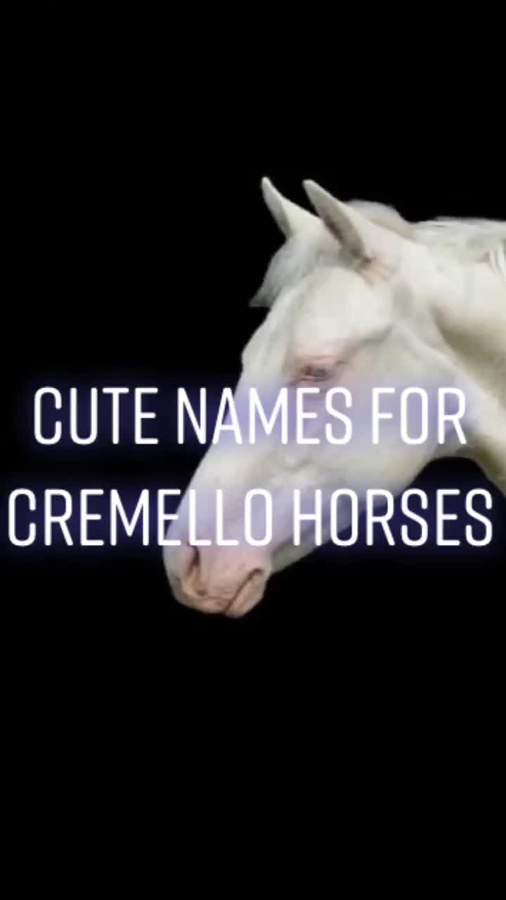@Horse Editz!