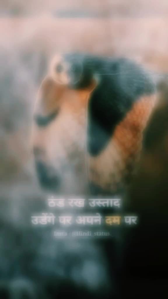 @Harshad Chavda 13