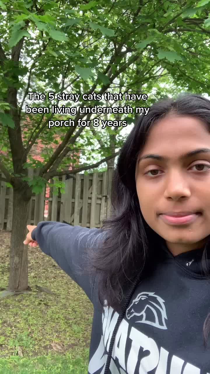 @Neha