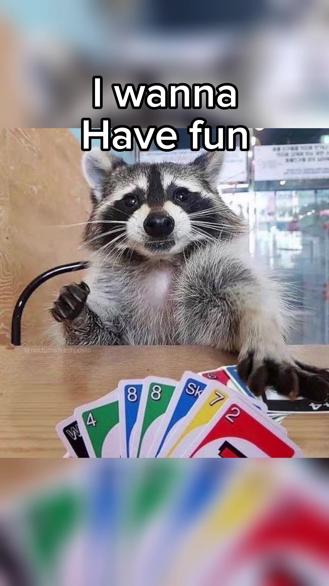 @Raccoon Music Videos