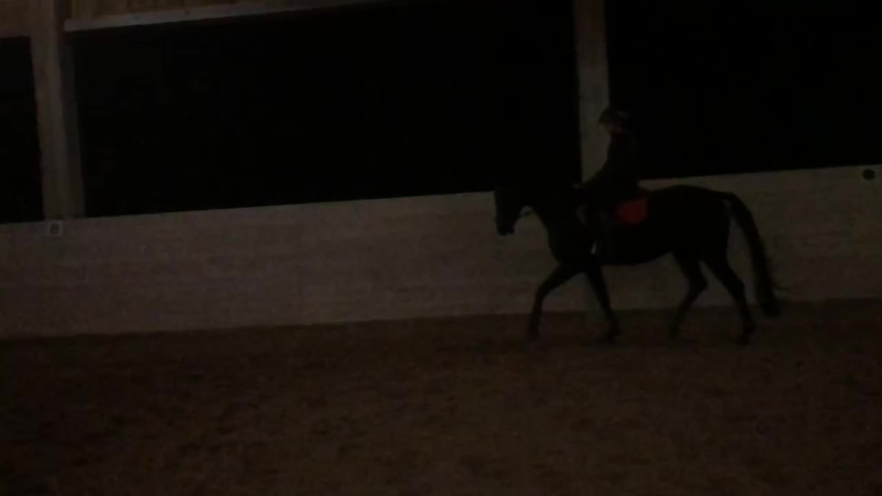 @My.soulhorse❤️🥺✌🏻