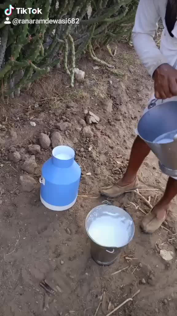 @ranaram rabari