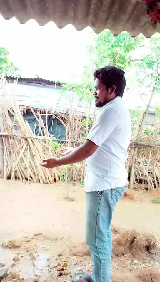 @Dhaya thati14333