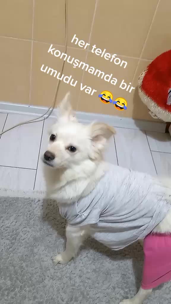 @Efsane