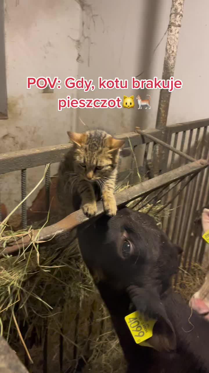 @Ig: iwanskih