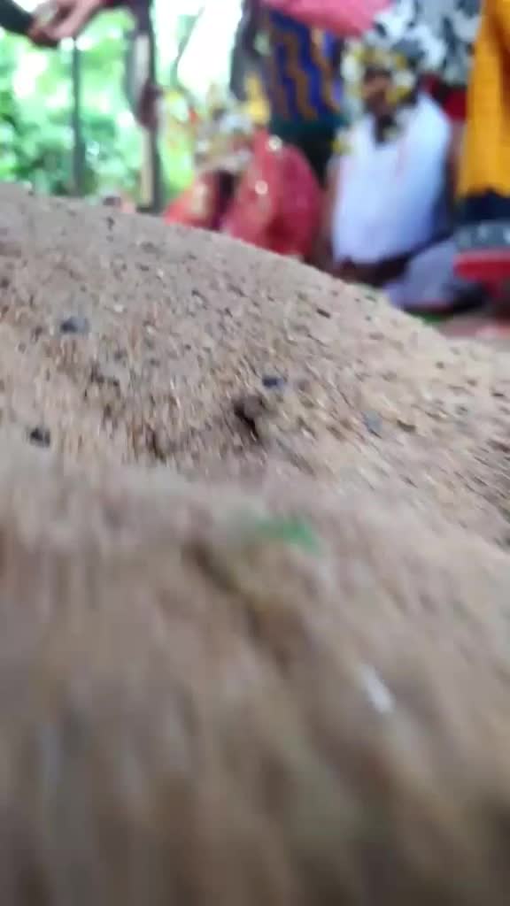 @"sidheswar _ videos"