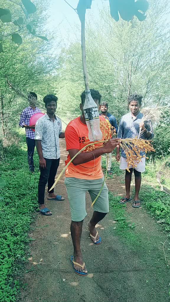 @medakbharath