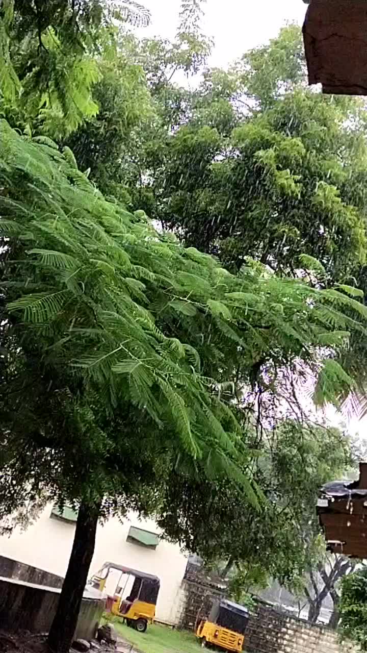 @GÆÑÊẞH $ÚÑÑY