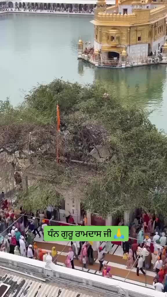 @Hukamnama sahib🙏🌹
