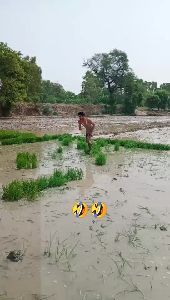 @Brar 595