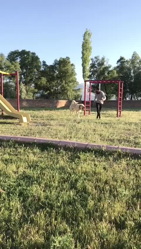 @Eray Sarıçiçek