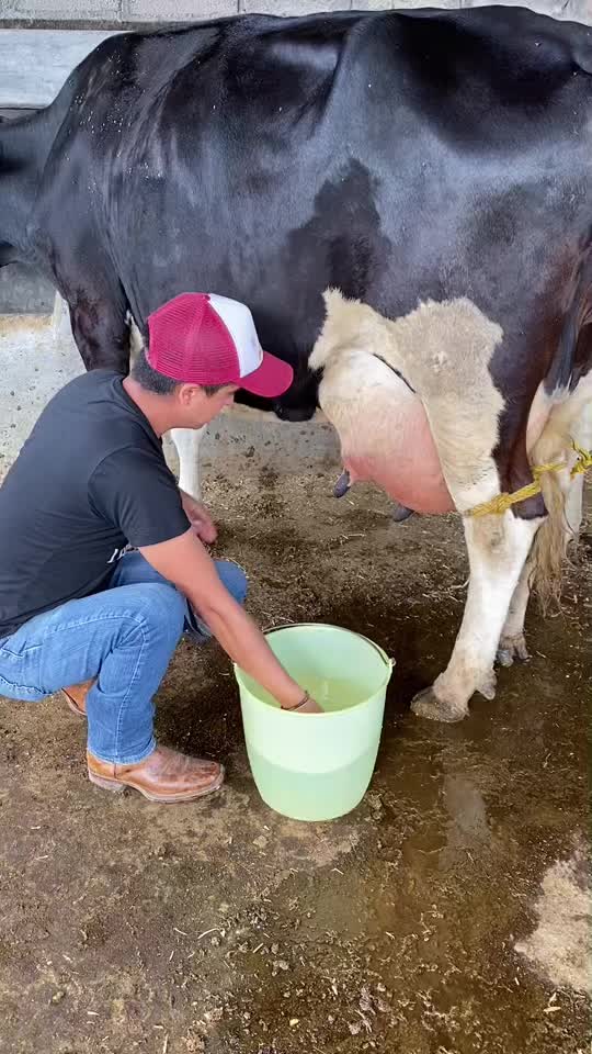 @El compa Javi