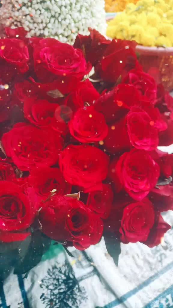 @madhuammu2361
