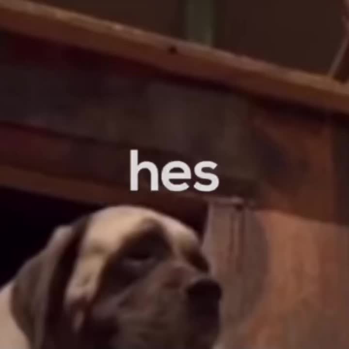 @charlii <33