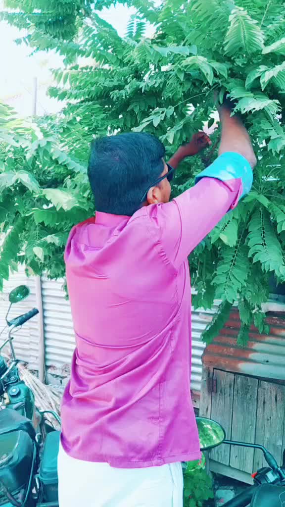@satheesh kumar g