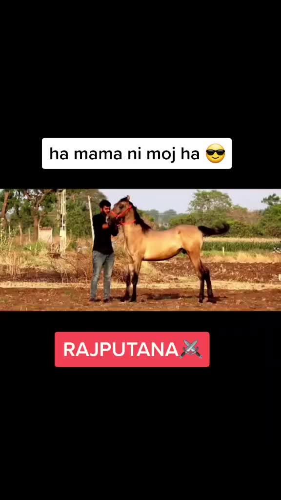 @rajpalsinh_jadeja