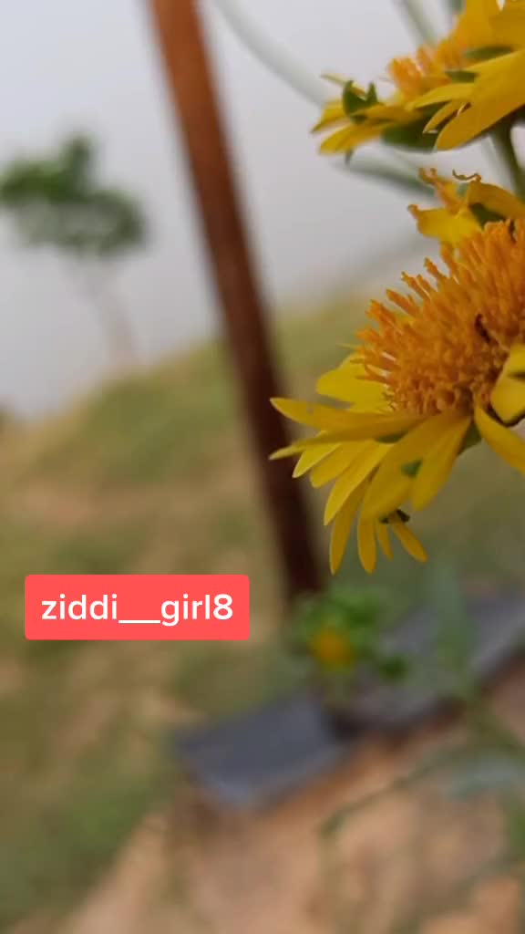 @❤️Jyoti❤️