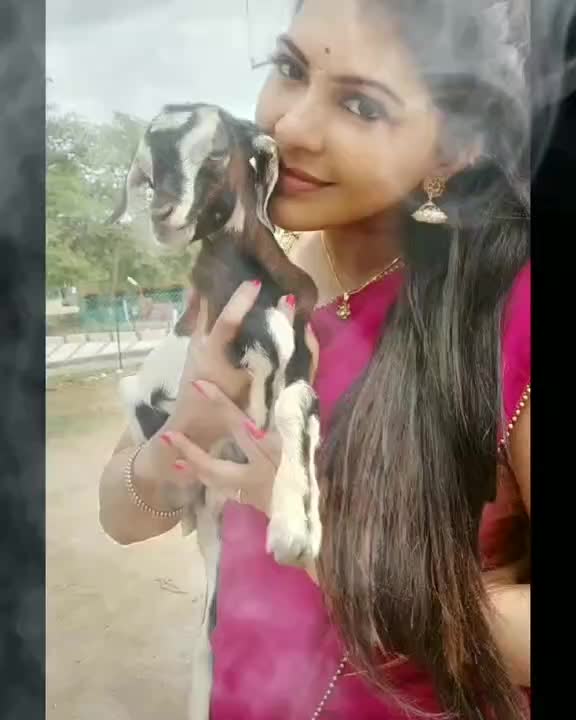 @Mounika Mahesh