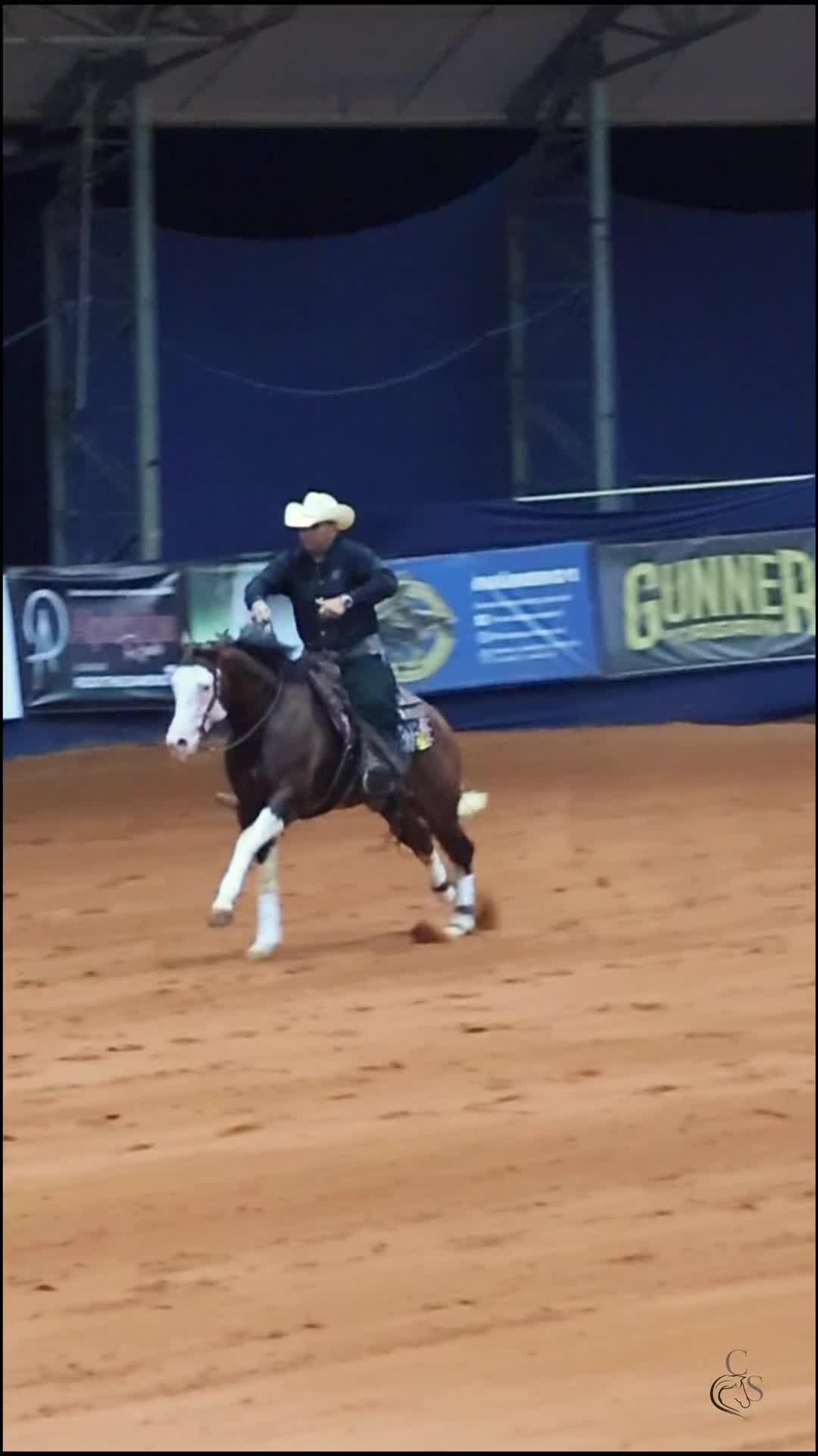 @PRIME HORSE
