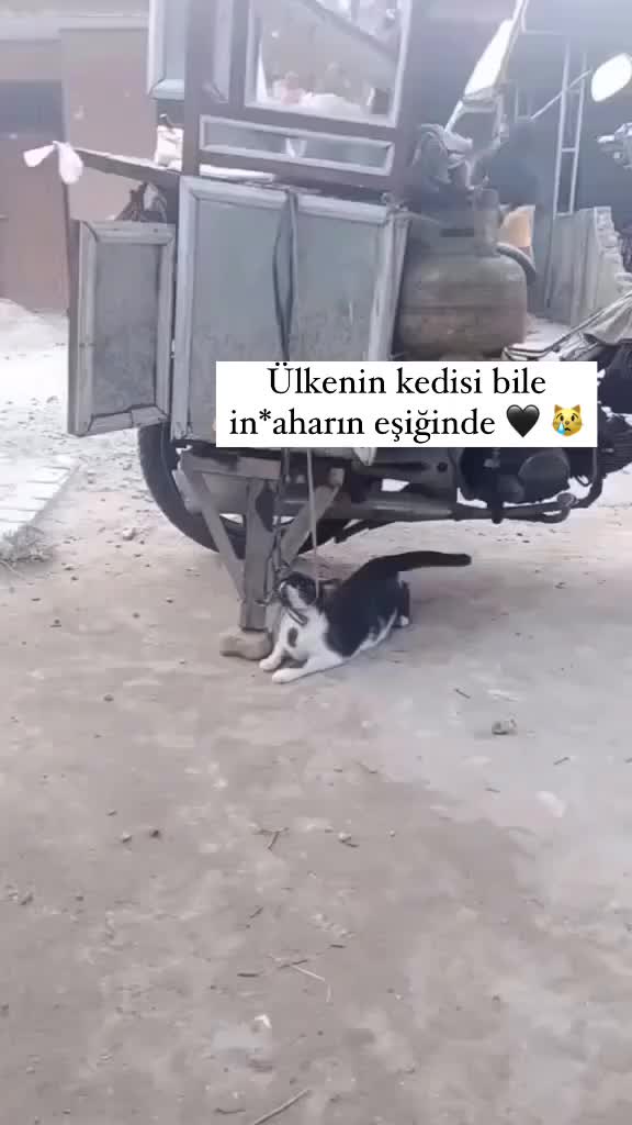 @꧁༺&Ouml;YK&Uuml;༻꧂
