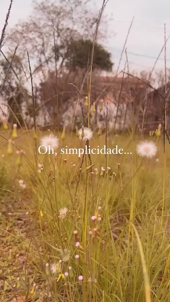 @familiadaserra