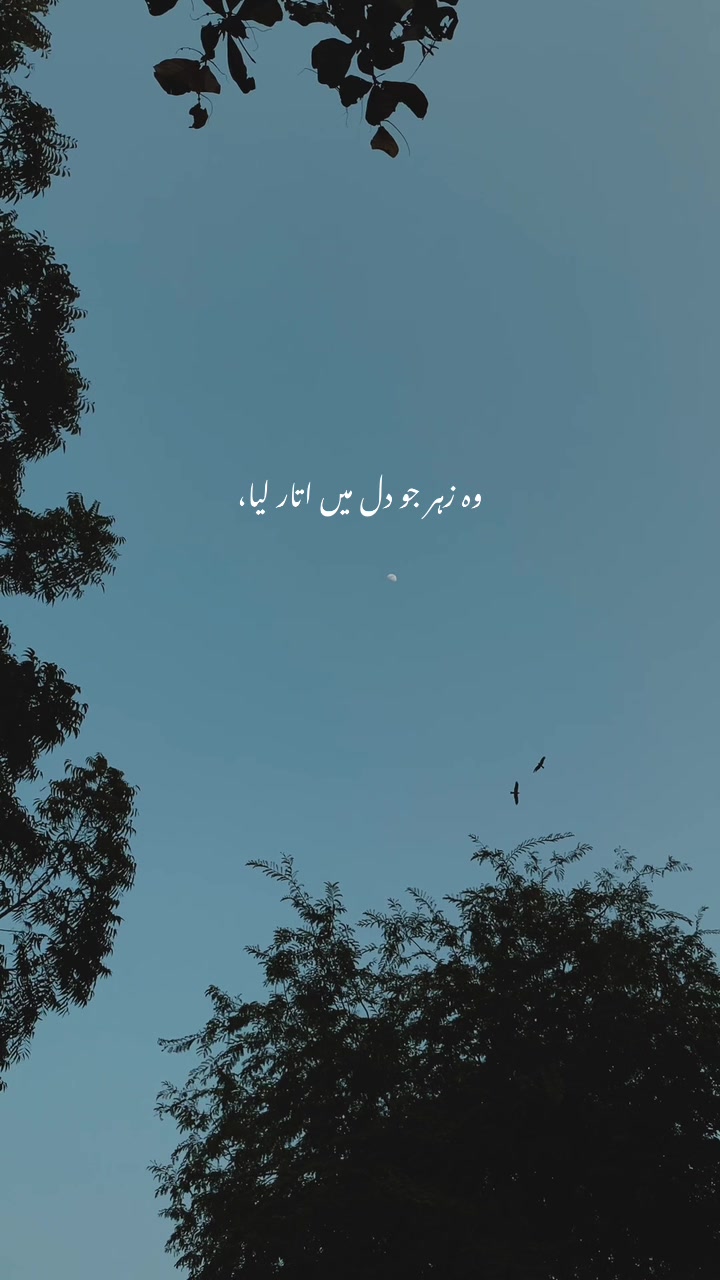 @11.11