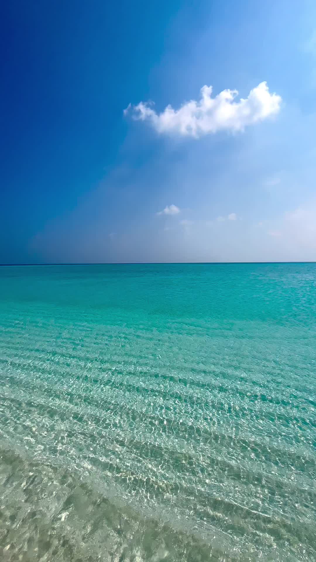 @ryokomaldives