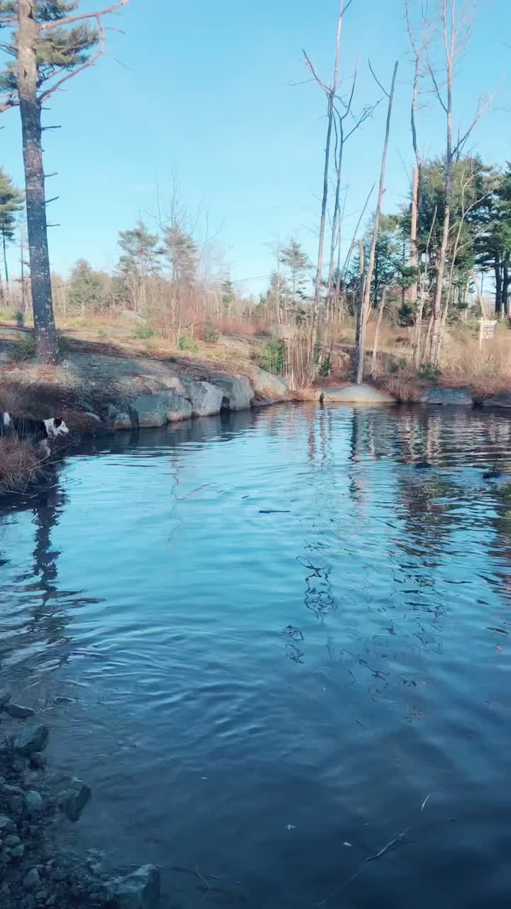 @baygiaussie