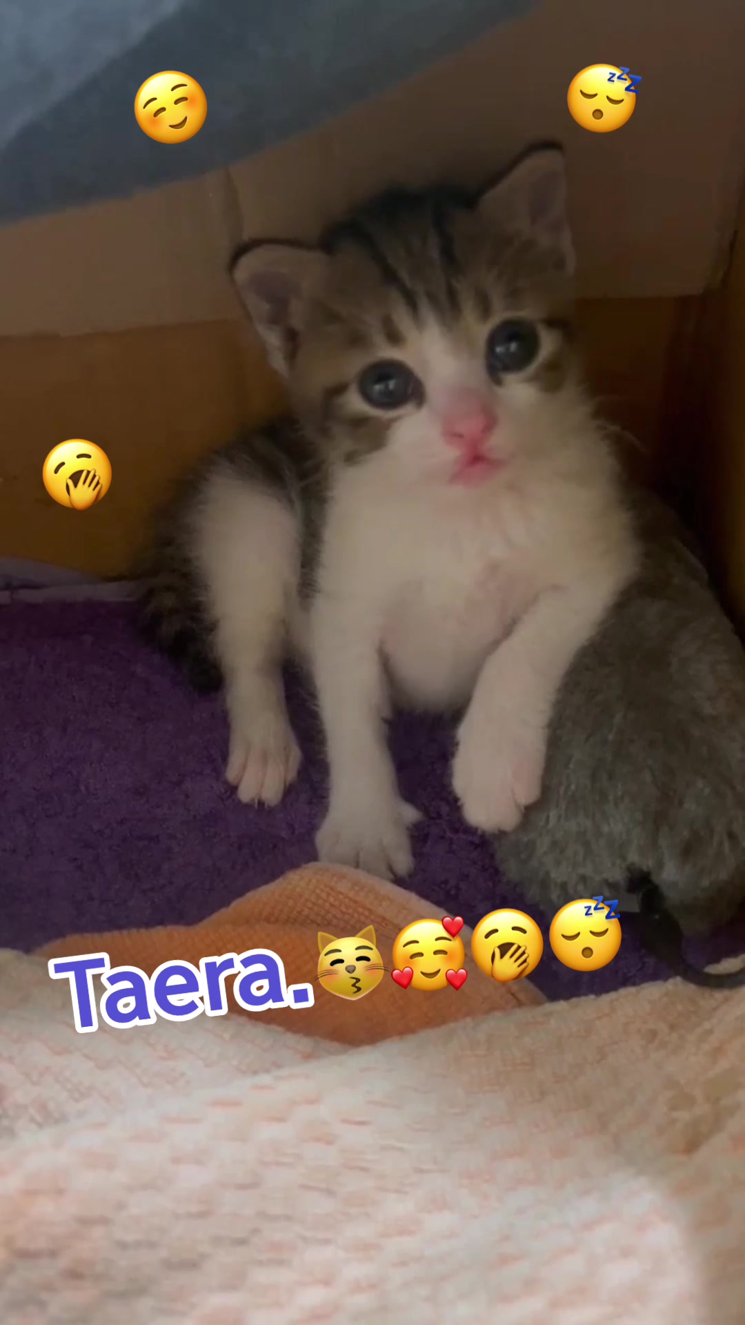 @🥀Panisara Ying 🐈