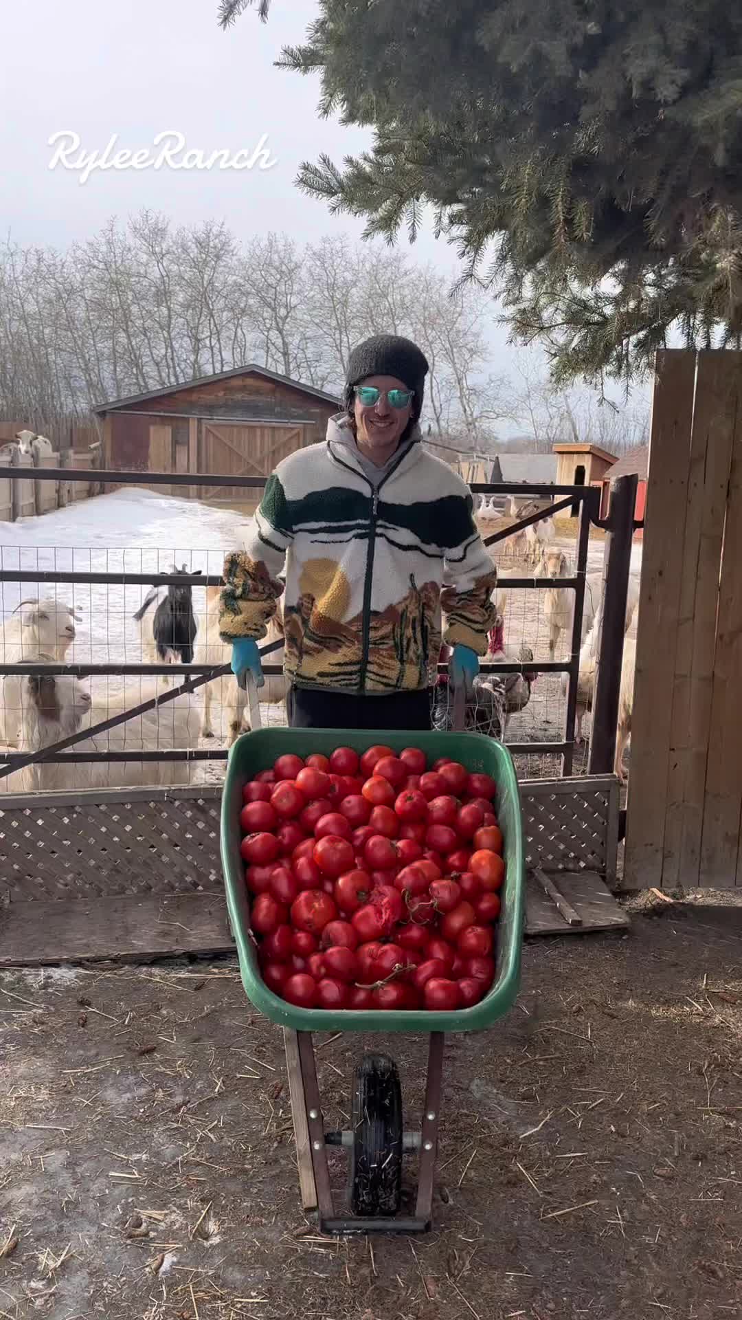 @RyleeRanch