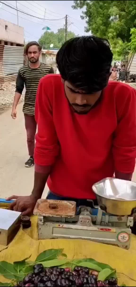 @user14311570734