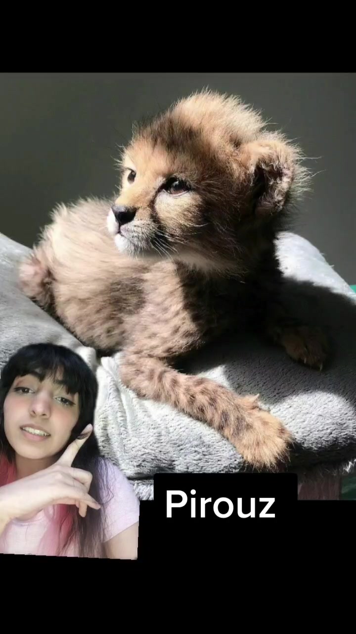 @Anita