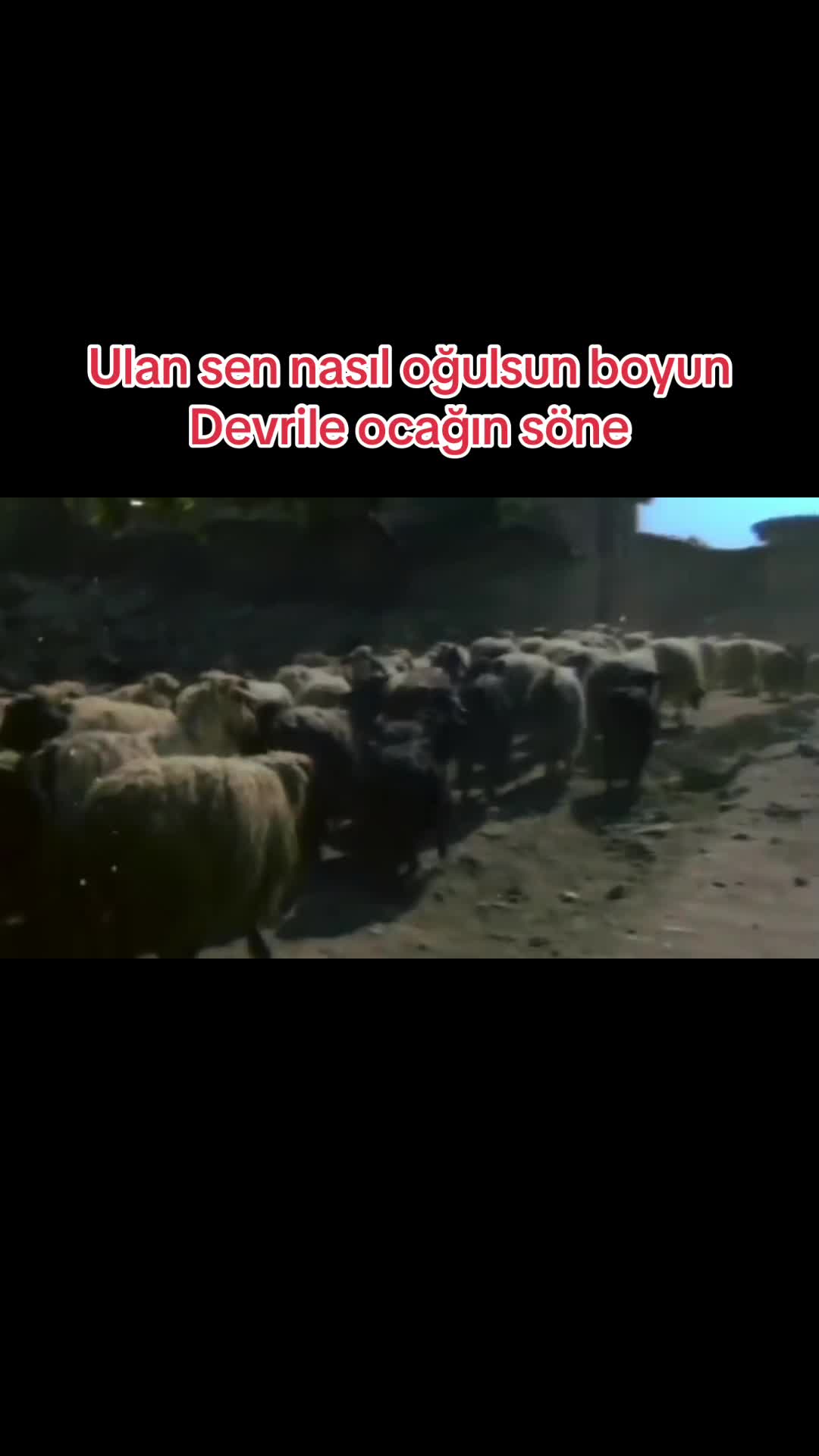 @yabanellerarabesk