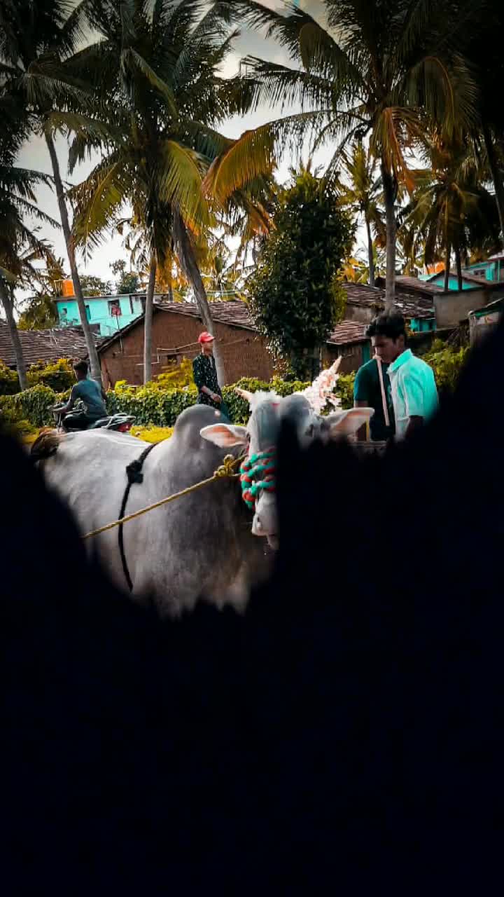 @sachin bull