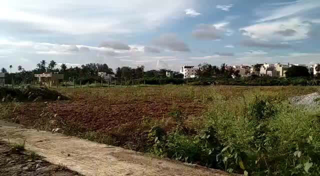@Rajesh Rko